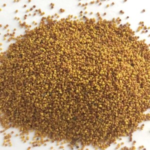 批量求购边坡喷播混合草种 矿山荒山生态绿化专用种子