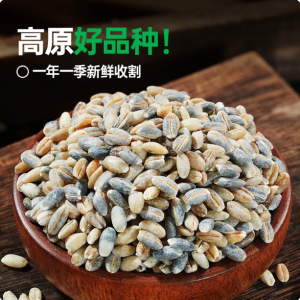 青稞米农家新米带皮青海高原特产粗粮五谷杂粮代餐主食官方旗舰店