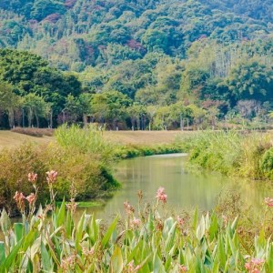 生态保护与修复、环境治理、决策制定提供数据支撑