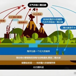 提升生态系统的固碳能力