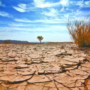 提供针对荒漠、沙漠及沙化土地，通过科学的治理技术和措施