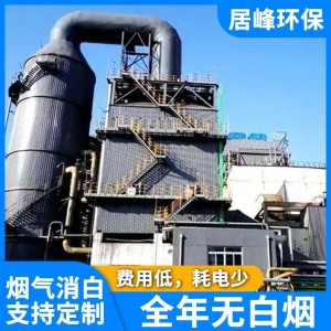 旭峰服装厂蒸汽锅炉烟气消白设备 烟气消白 电磁脱白设备生产厂家 1台