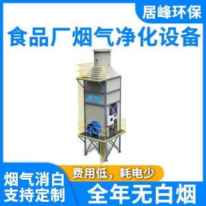 食品厂烟气净化设备 烟气脱白 消除白色水雾设备 废气处理厂家  1台