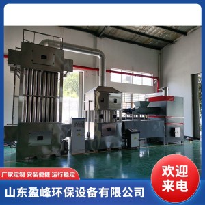 盈峰 小型垃圾焚烧炉 农村生活垃圾焚烧设备 高温热解焚化炉  1台