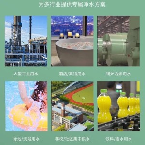 全自动多介质锰砂过滤器 定制水量 除铁锰过滤设备 迪恩厂家自研自销  1套