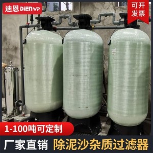 DIENWP迪恩水处理 大型工业水处理设备 非标安装 除泥沙水垢商用 1套