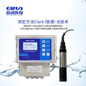 在线溶氧仪高精度溶氧分析仪ERUN-SZ1S-A-A5水质溶解氧在线监测仪 1台
