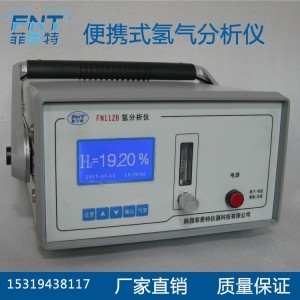 陕西菲恩特仪器 便携式氢分析仪 氢气分析仪 FN112B 1台