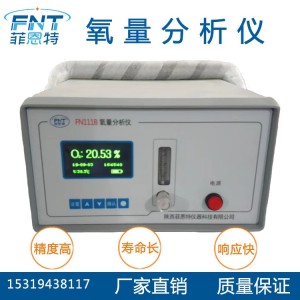 菲恩特仪器 厂家直供 便携式 电化学氧分析仪 1台