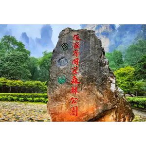 大峡谷玻璃桥+森林公园+天门山三日游